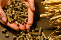 free Furze biomass boiler quotes